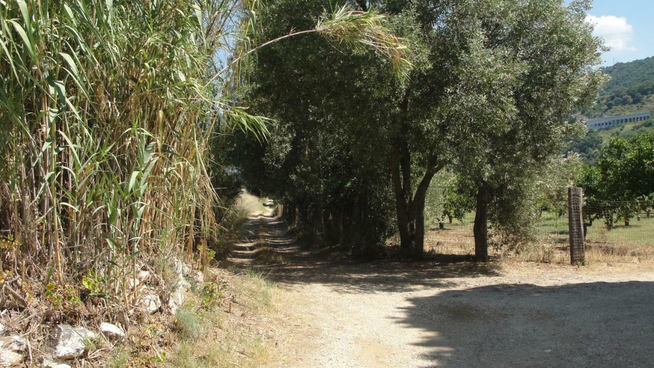 Villa Primaluce Pizzo  Exteriér fotografie